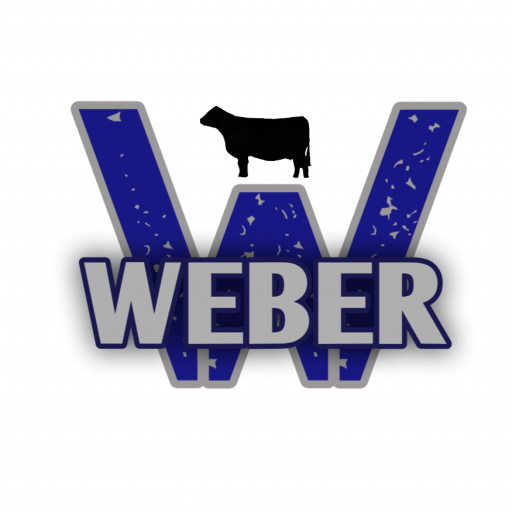 Weber Famiy Angus